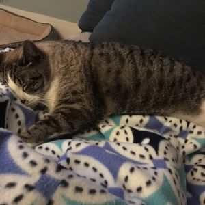 Meet your Posher, Jode